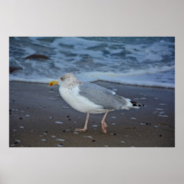Die Möwe Poster