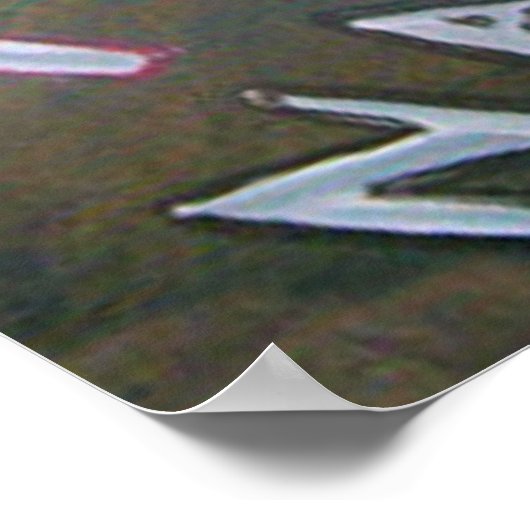 DIE NATUURDREADLOCKS POSTER (Hoek)