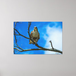 DIE OGEN 60 X 40 OMWIKKELDE CANVAS PRINT