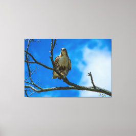 DIE OGEN 60 X 40 OMWIKKELDE CANVAS PRINT