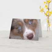 Die Ogen Kaart (Gele Bloem)