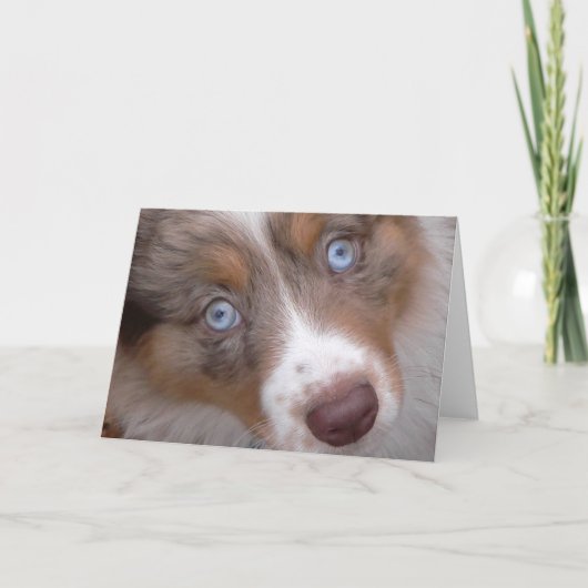 Die Ogen Kaart (Voorkant)