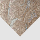 Die Schweiz, Zwitserland Atlas Map Tissuepapier (Detail)