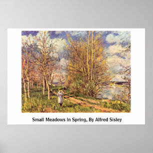 Die Small Meadows in de lente, door Alfred Sisley Poster