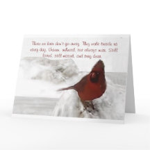 "Die waar we van houden gaan niet weg" groot