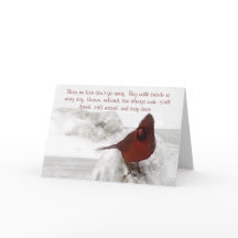 "Die waar we van houden gaan niet weg" standaard