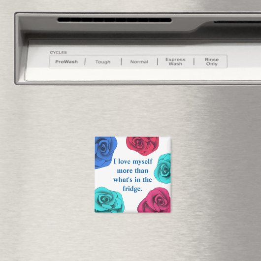 Dieet bevestiging liefde jezelf meer dan voedsel magneet (Insitu (Vaatwasser))