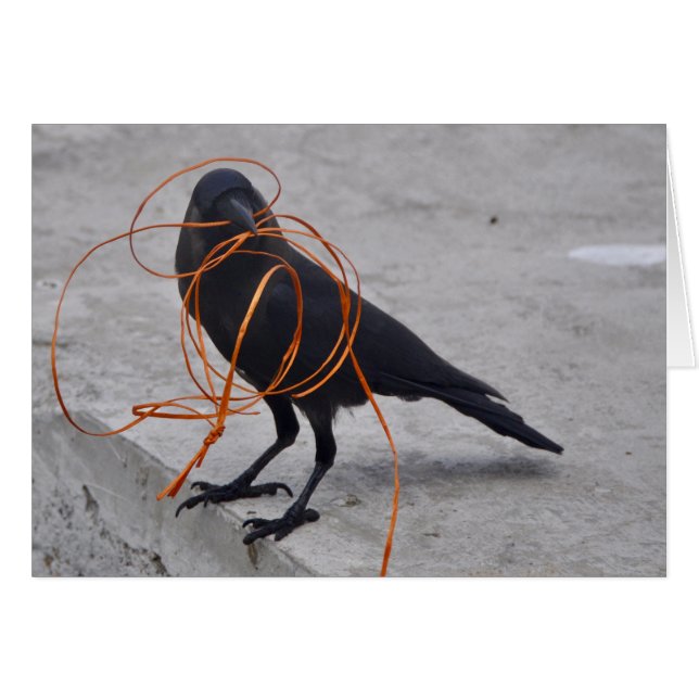 Dief in zwart (Voorkant Horizontaal)