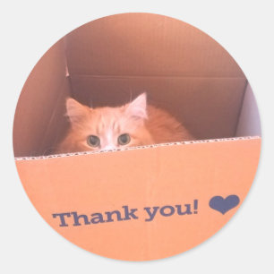 Diego de kat Dank je Sticker