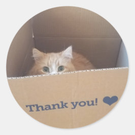 Diego de kat Dank je Sticker