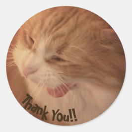 Diego de kat Dank je Stickers