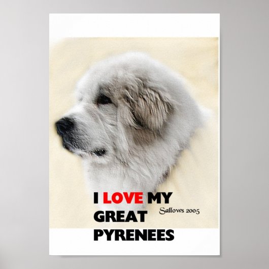 diego poster (Voorkant)