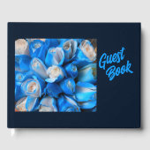 Diemudis Gastenboek (Voorkant)