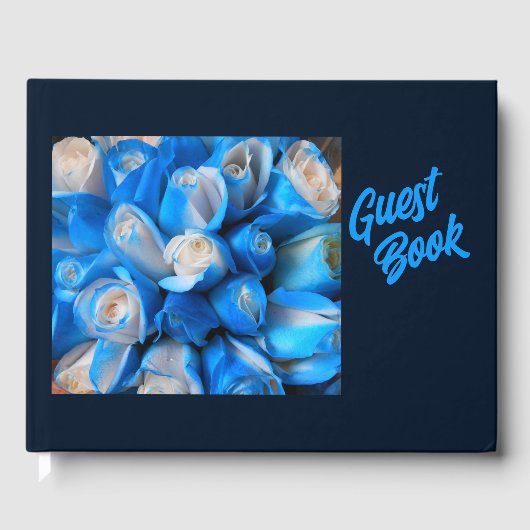 Diemudis Gastenboek (Voorkant)