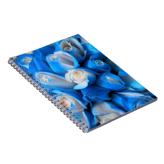 Diemudis Notitieboek (Rechterzijde)