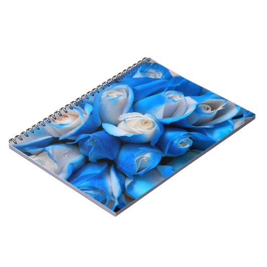 Diemudis Notitieboek (Linkerzijde)