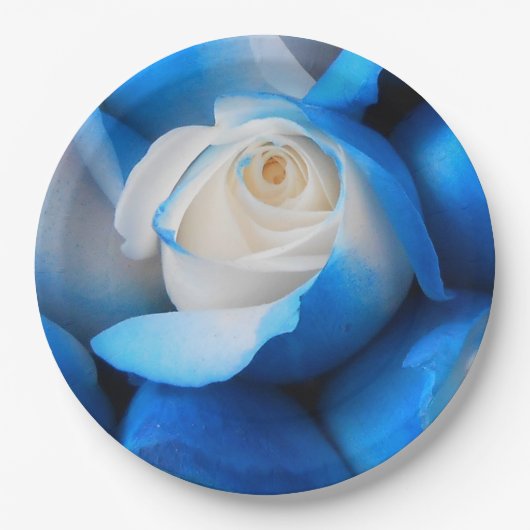 Diemudis Papieren Bordje (Voorkant)