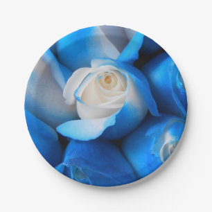 Diemudis Papieren Bordje