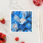 Diemudis Servet (Insitu)