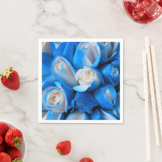 Diemudis Servet (Insitu)