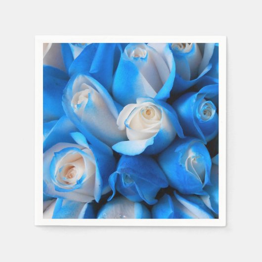 Diemudis Servet (Voorkant)