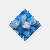 Diemudis Servet (Hoek)