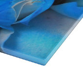 Diemudis Snijplank (Hoek)