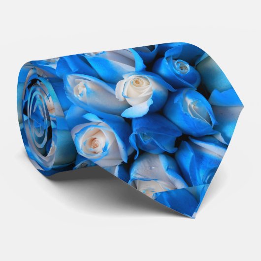 Diemudis Stropdas (Opgerold)