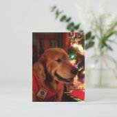 Dienst Dog Jonah Christmas Postcard Feestdagenkaart (Staand voorkant)