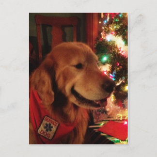 Dienst Dog Jonah Christmas Postcard Feestdagenkaart