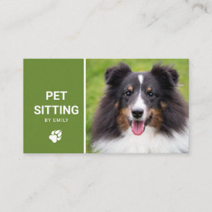 Dienst voor het oppassen op honden - Foto van een  Visitekaartje