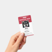 Diensthond Foto Rood Badge (Handheld)