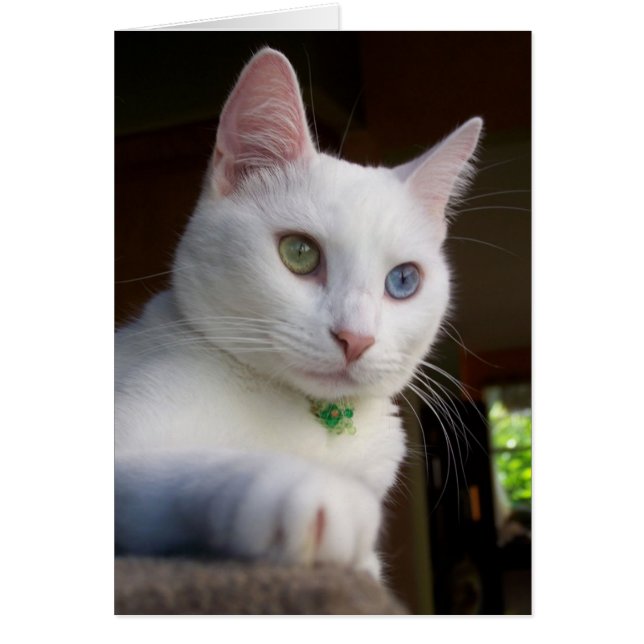 Dienstkaart (Voorkant)