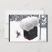 Dienstman, Postbode, UPS, FedEx, Fooi Kaart (Voorkant)