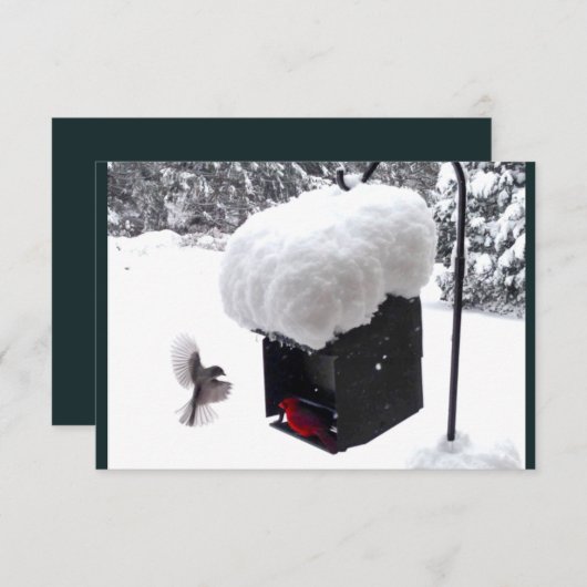 Dienstman, Postbode, UPS, FedEx, Fooi Kaart (Voorkant / Achterkant)