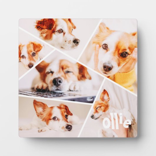 Dient Moderne Eenvoudige Aangepast 6 Afbeeldingen  Fotoplaat (Voorkant)