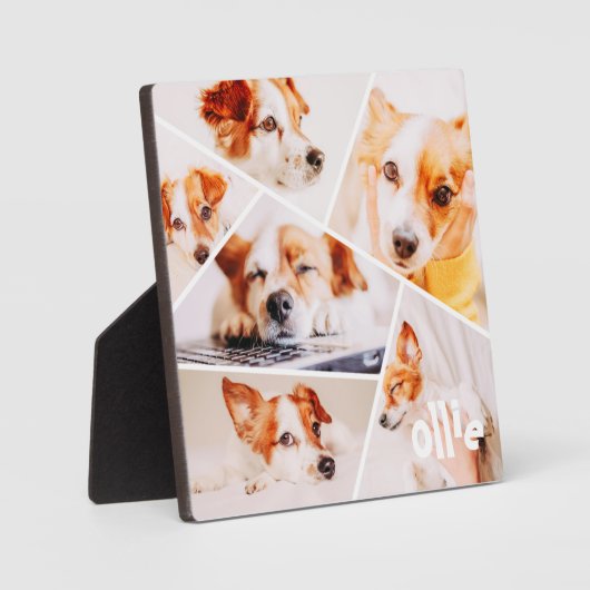 Dient Moderne Eenvoudige Aangepast 6 Afbeeldingen Fotoplaat (Voorkant)