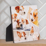 Dient Moderne Eenvoudige Aangepast 6 Afbeeldingen  Fotoplaat<br><div class="desc">Dit eenvoudige en moderne ontwerp bestaat uit sans serif typografie. Voeg aangepaste petfoto toe.</div>
