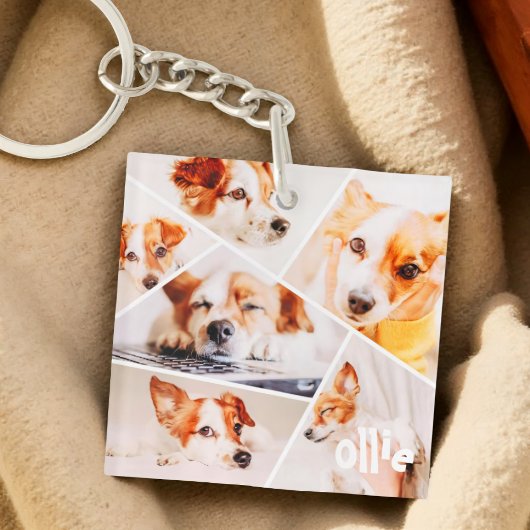 Dient Moderne Eenvoudige Aangepast 6 Afbeeldingen Sleutelhanger