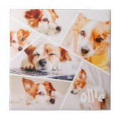 Dient Moderne Eenvoudige Aangepast 6 Afbeeldingen Tegeltje (Voorkant)