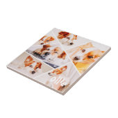 Dient Moderne Eenvoudige Aangepast 6 Afbeeldingen Tegeltje (Zijkant)