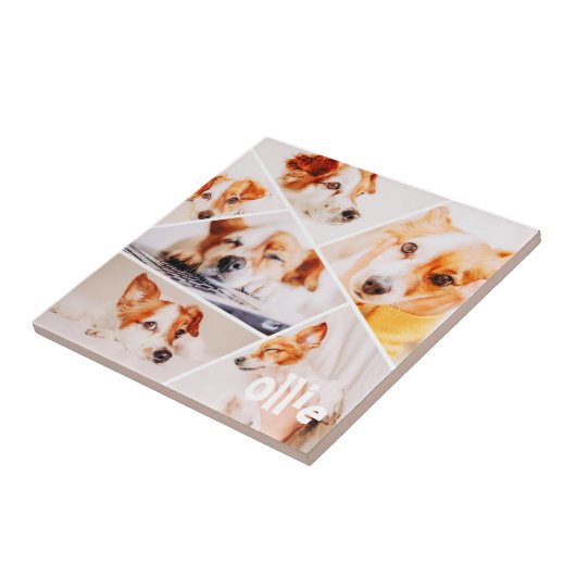 Dient Moderne Eenvoudige Aangepast 6 Afbeeldingen Tegeltje (Zijkant)