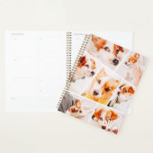 Dient Moderne Eenvoudige Aangepast 7 Afbeeldingen Planner (Display)