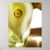 Diep binnen Poster (Voorkant)