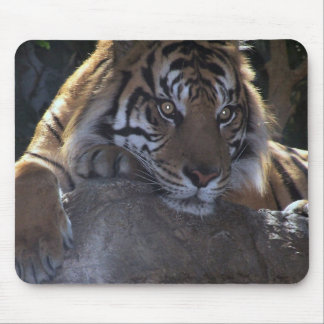 Diep denkend muismat