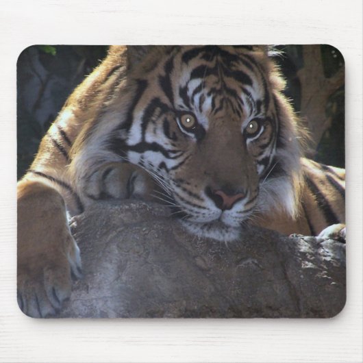 Diep denkend muismat (Voorkant)