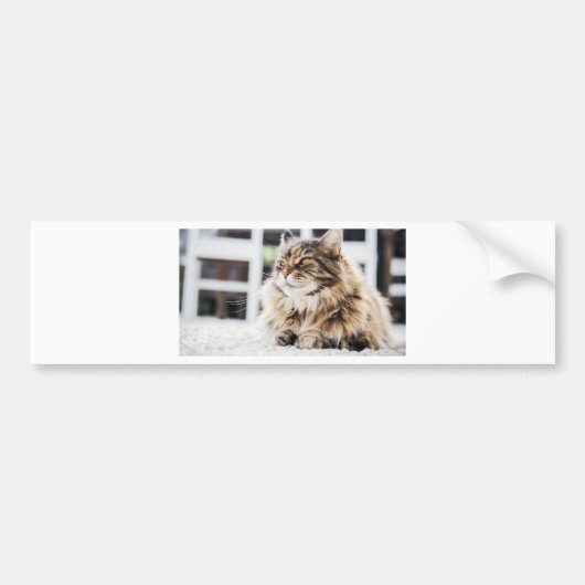 Diep doordacht bumpersticker (Voorkant)