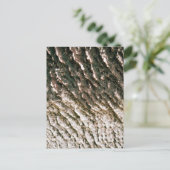 Diep Gegroefde Boomstamstructuur Close-up Briefkaart (Staand voorkant)