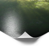 Diep groen bos - fotoprint foto afdruk (Hoek)