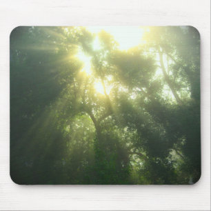 Diep groen bos - Mousepad Muismat